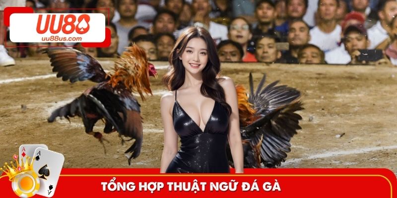 Thuật ngữ đá gà